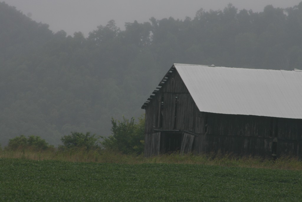 Barn in mist