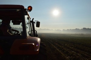 Tractor in field during early morning